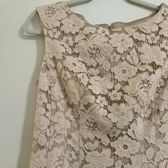 Vince Camuto Light Pink Lace Overlay Dress Size 8 - Picture 4 of 4
